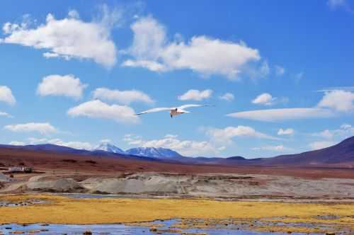 TREKKING NEL DESERTO DI ATACAMA 2015